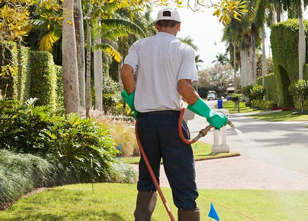 About Otto NC Pest Control